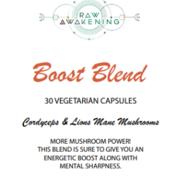 Boost Blend