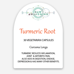 Turmeric Root