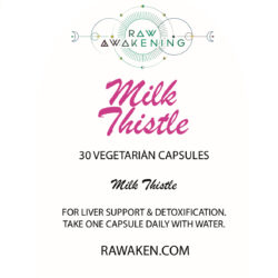 Milk Thistle - PRE ORDER